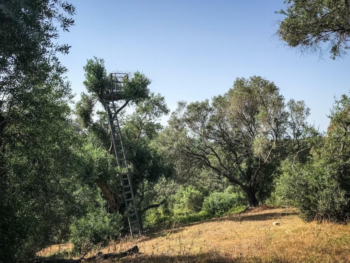 Holiday home Hidden Gem In Nature Reserve Near The - Corfu South *